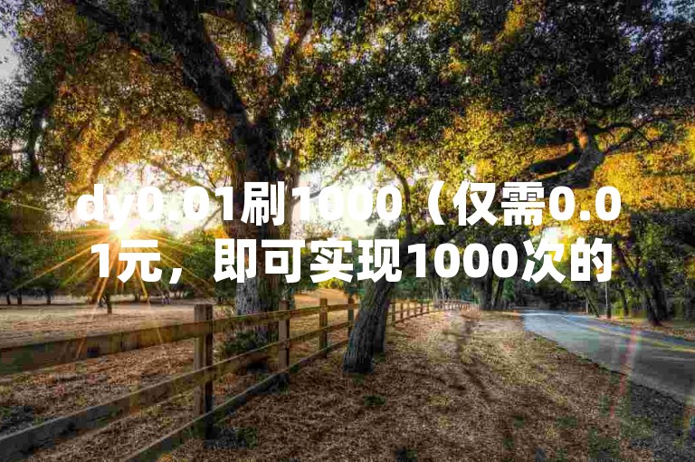 dy0.01刷1000（仅需0.01元，即可实现1000次的高效推广，快速吸引目标群体）