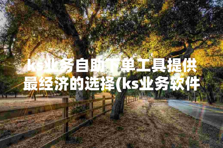 ks业务自助下单工具提供最经济的选择(ks业务软件自助下单的最优价格)。
