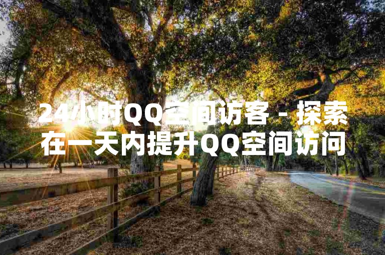 24小时QQ空间访客 - 探索在一天内提升QQ空间访问量的有效策略！