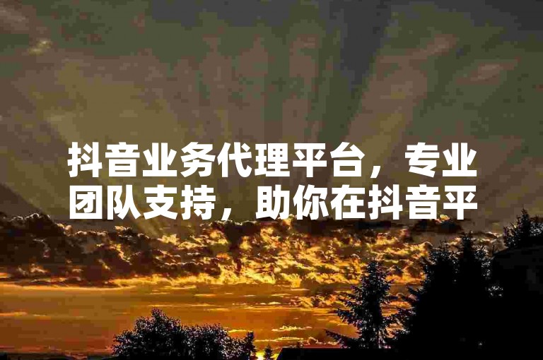 抖音业务代理平台，专业团队支持，助你在抖音平台实现商业价值。
