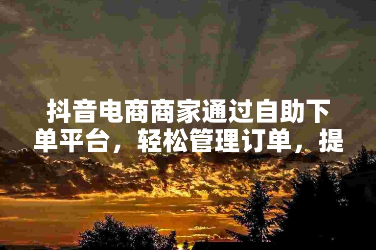 抖音电商商家通过自助下单平台，轻松管理订单，提升业务效率。