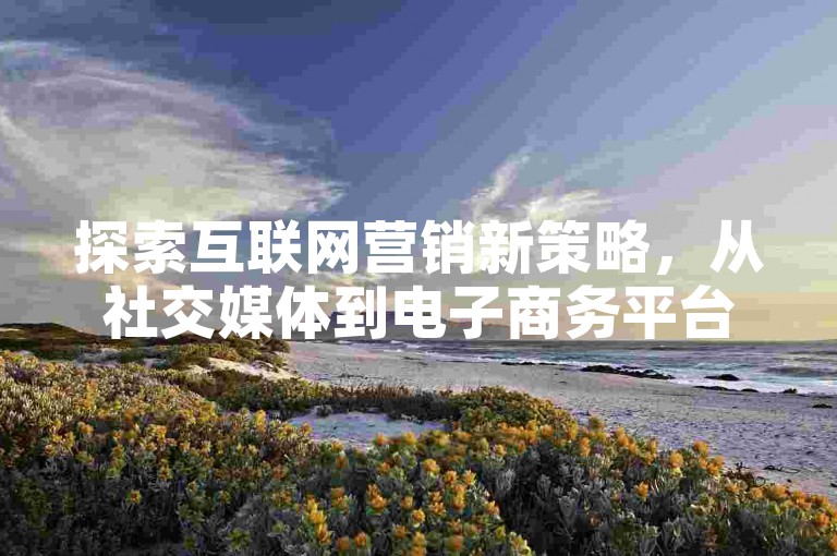探索互联网营销新策略，从社交媒体到电子商务平台，我们提供全方位的业务支持与服务。