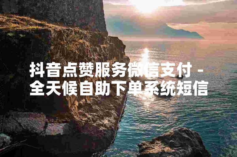 抖音点赞服务微信支付 - 全天候自助下单系统短信通知。