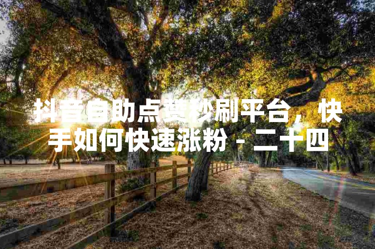 抖音自助点赞秒刷平台，快手如何快速涨粉 - 二十四小时自助服务 - 微信举报功能如何使用