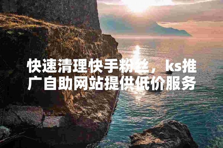 快速清理快手粉丝，ks推广自助网站提供低价服务。