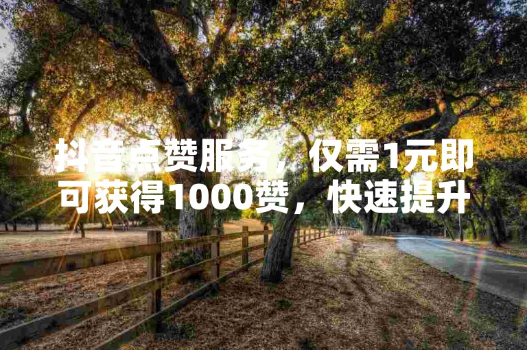 抖音点赞服务，仅需1元即可获得1000赞，快速提升视频热度。