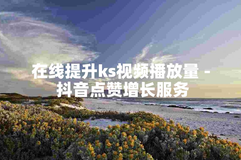 在线提升ks视频播放量 - 抖音点赞增长服务