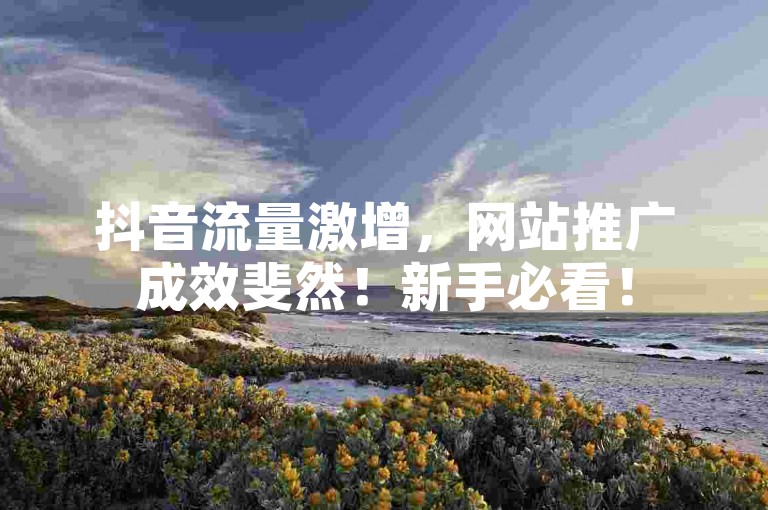 抖音流量激增，网站推广成效斐然！新手必看！