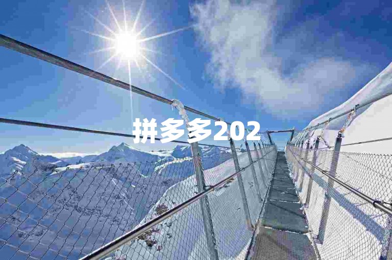 拼多多2025互助群，开启社交电商的新篇章。