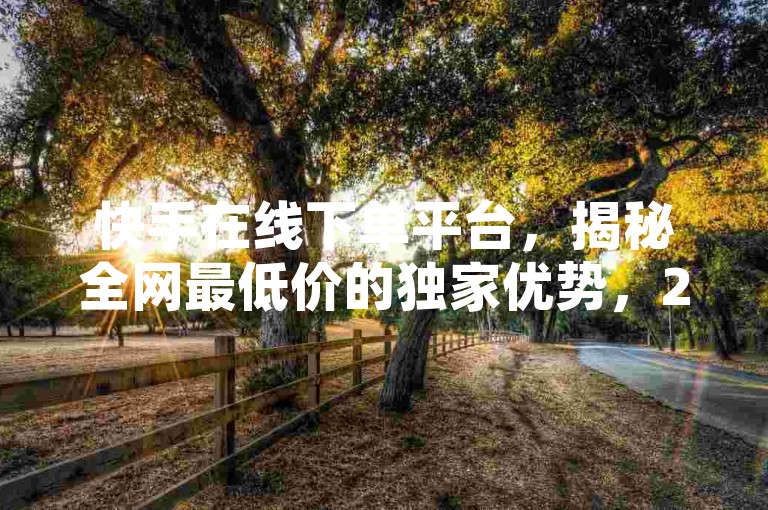 快手在线下单平台，揭秘全网最低价的独家优势，2024年必备攻略！