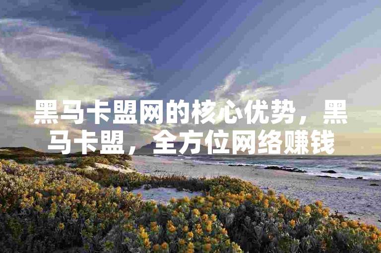 黑马卡盟网的核心优势，黑马卡盟，全方位网络赚钱平台，新手入门首选！