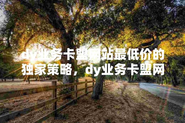 dy业务卡盟网站最低价的独家策略，dy业务卡盟网站最低价--限时折扣，抢先体验！