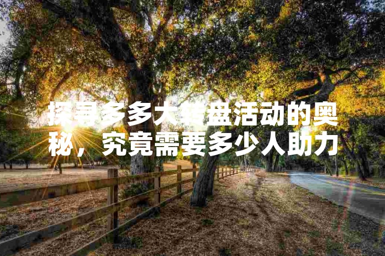 探寻多多大转盘活动的奥秘，究竟需要多少人助力呢？