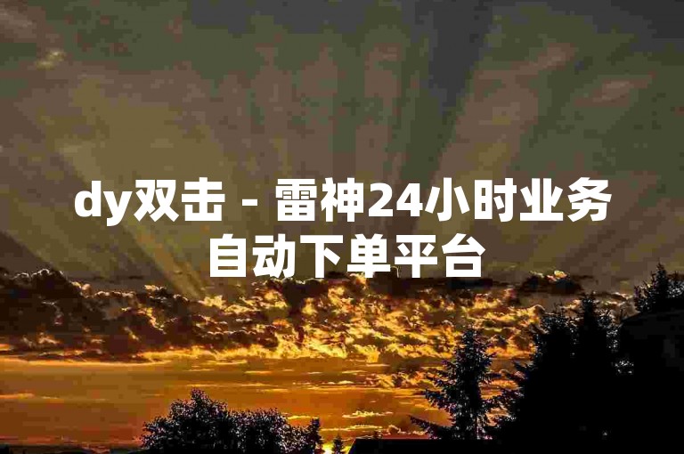 dy双击 - 雷神24小时业务自动下单平台