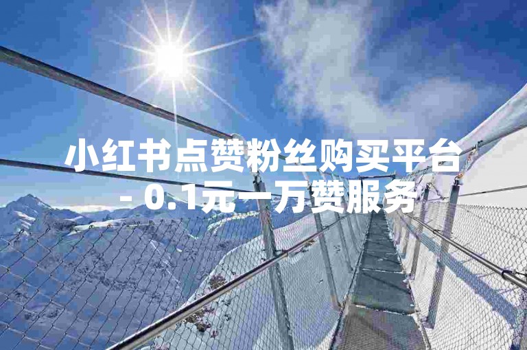 小红书点赞粉丝购买平台 - 0.1元一万赞服务