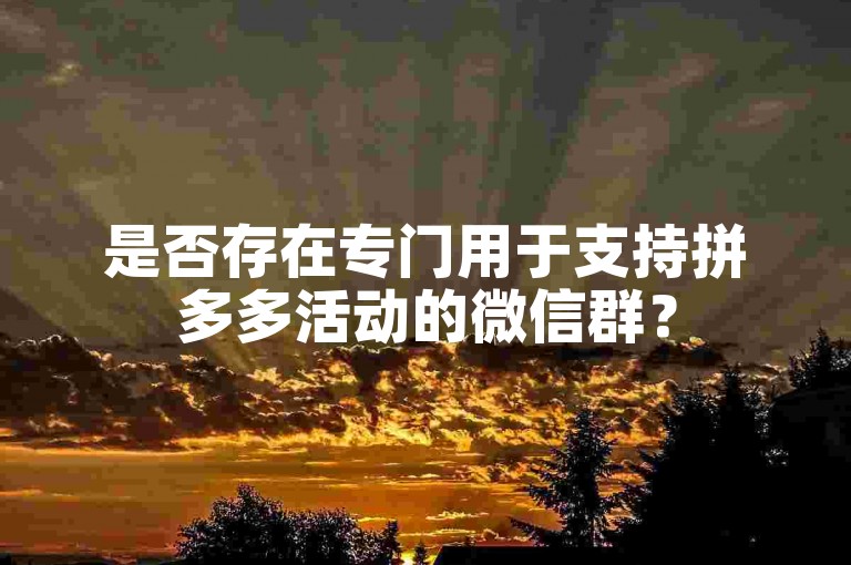 是否存在专门用于支持拼多多活动的微信群？