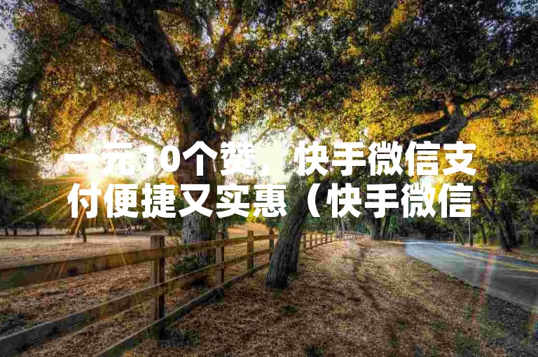 一元10个赞，快手微信支付便捷又实惠（快手微信支付，仅需1元，即可轻松获得10个赞）。