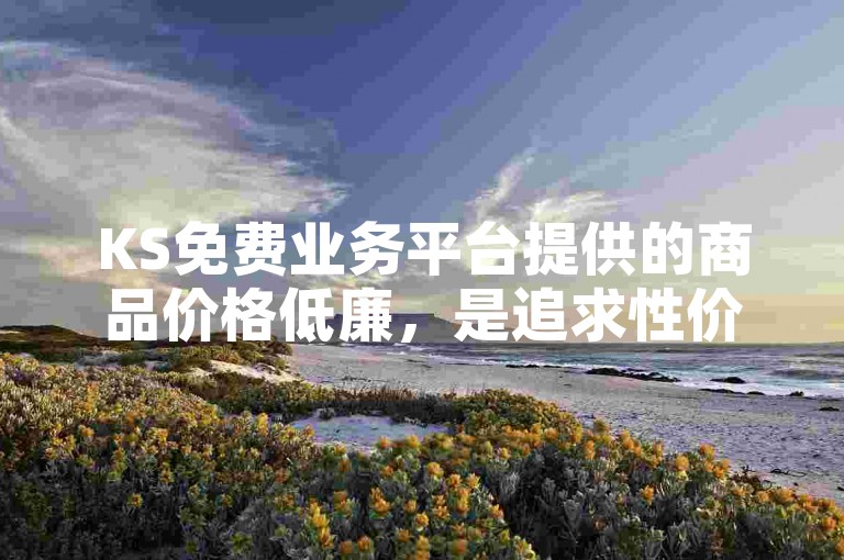 KS免费业务平台提供的商品价格低廉，是追求性价比的理想选择。