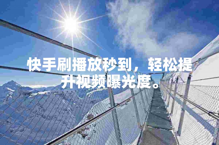 快手刷播放秒到，轻松提升视频曝光度。