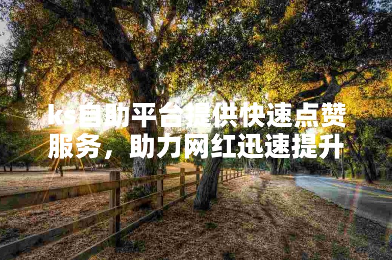 ks自助平台提供快速点赞服务，助力网红迅速提升人气。