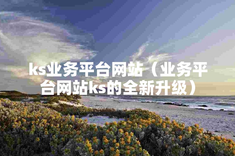 ks业务平台网站（业务平台网站ks的全新升级）