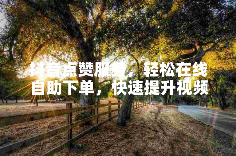 抖音点赞服务，轻松在线自助下单，快速提升视频热度。