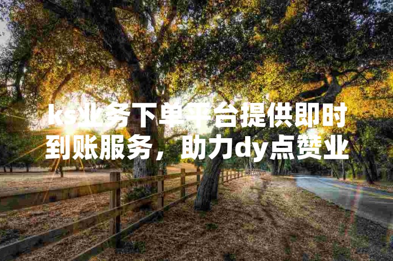 ks业务下单平台提供即时到账服务，助力dy点赞业务迅速增长。