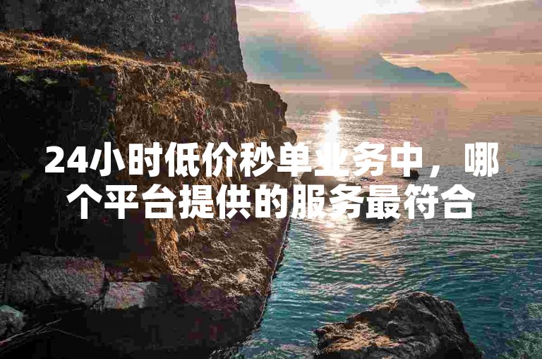 24小时低价秒单业务中，哪个平台提供的服务最符合您的需求？（在众多24小时低价秒单业务中，哪一项服务最适合您的要求？）