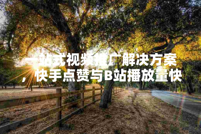 一站式视频推广解决方案，快手点赞与B站播放量快速提升服务。