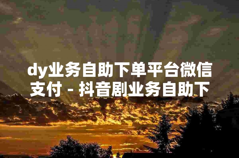dy业务自助下单平台微信支付 - 抖音剧业务自助下单平台