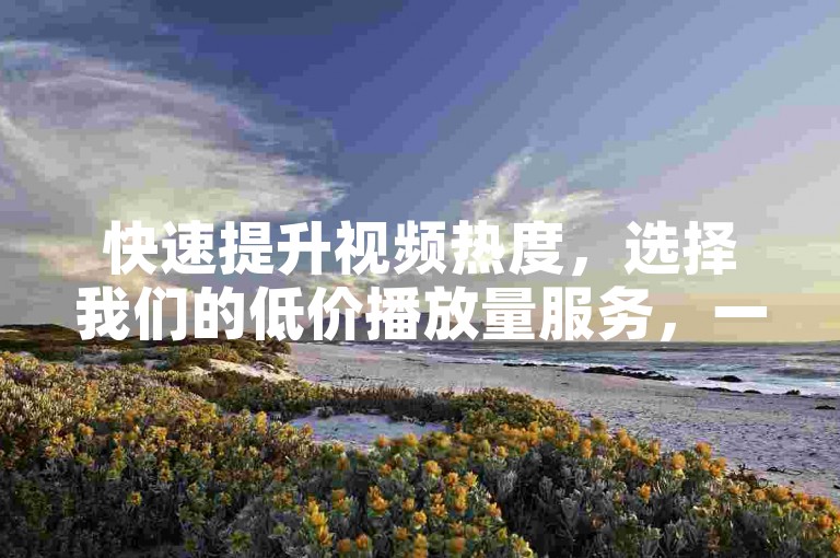 快速提升视频热度，选择我们的低价播放量服务，一键下单，轻松实现播放量飞跃。