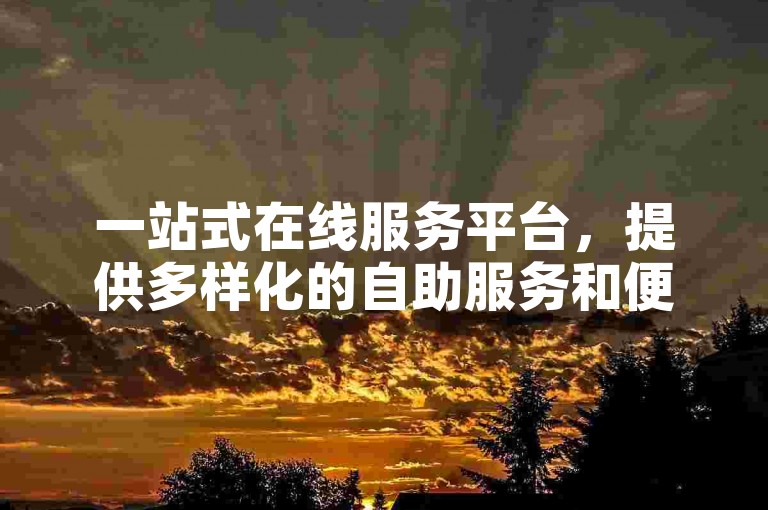 一站式在线服务平台，提供多样化的自助服务和便捷下单体验。