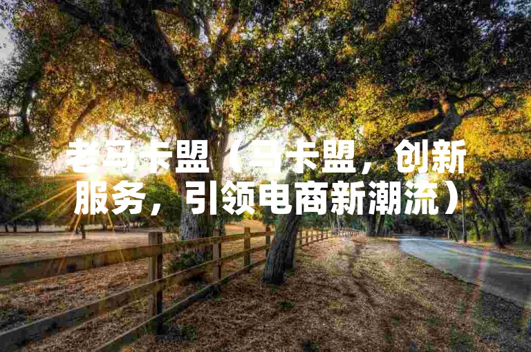 老马卡盟（马卡盟，创新服务，引领电商新潮流）
