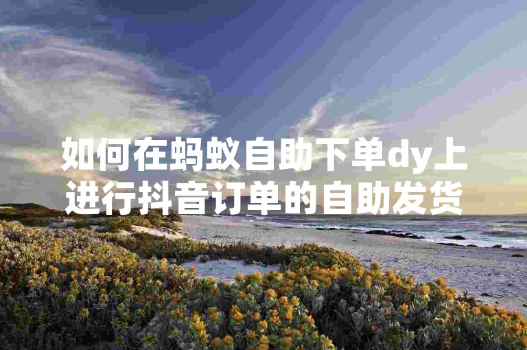 如何在蚂蚁自助下单dy上进行抖音订单的自助发货操作？
