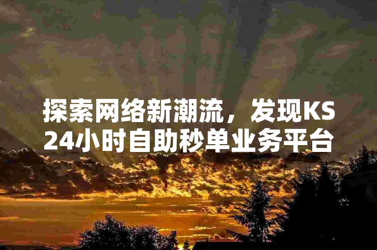 探索网络新潮流，发现KS24小时自助秒单业务平台，轻松提升你的抖音影响力。