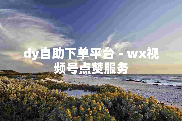 dy自助下单平台 - wx视频号点赞服务