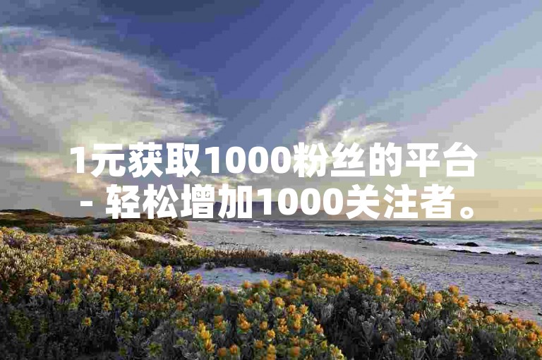 1元获取1000粉丝的平台 - 轻松增加1000关注者。