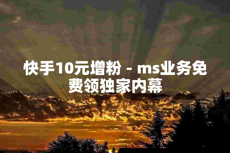 快手10元增粉 - ms业务免费领独家内幕