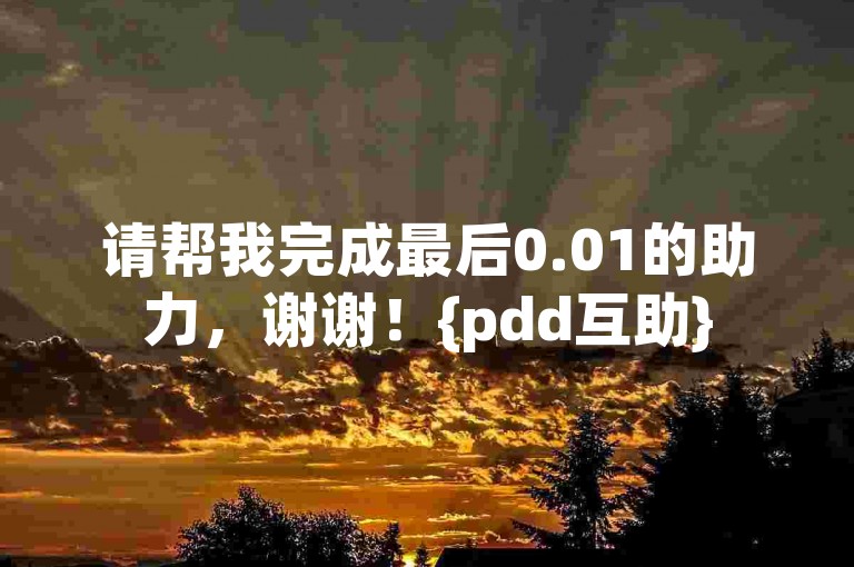 请帮我完成最后0.01的助力，谢谢！{pdd互助}
