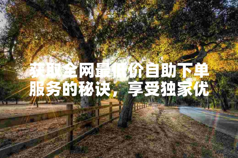 获取全网最低价自助下单服务的秘诀，享受独家优惠，新用户专享福利！