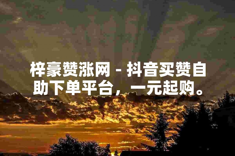梓豪赞涨网 - 抖音买赞自助下单平台，一元起购。