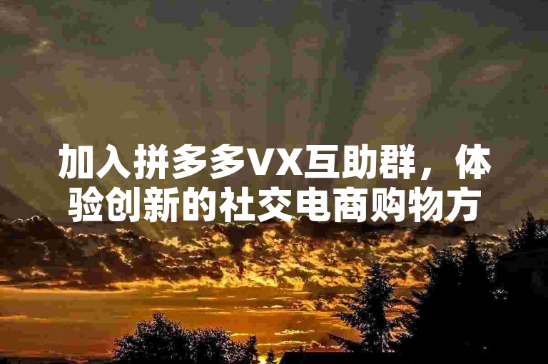 加入拼多多VX互助群，体验创新的社交电商购物方式。
