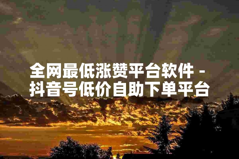 全网最低涨赞平台软件 - 抖音号低价自助下单平台。