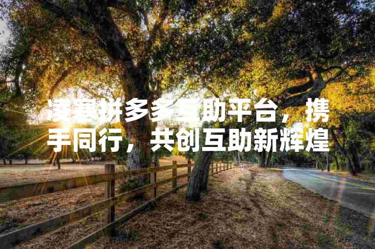 凌寒拼多多互助平台，携手同行，共创互助新辉煌。