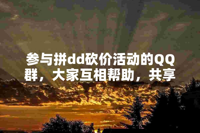 参与拼dd砍价活动的QQ群，大家互相帮助，共享优惠。