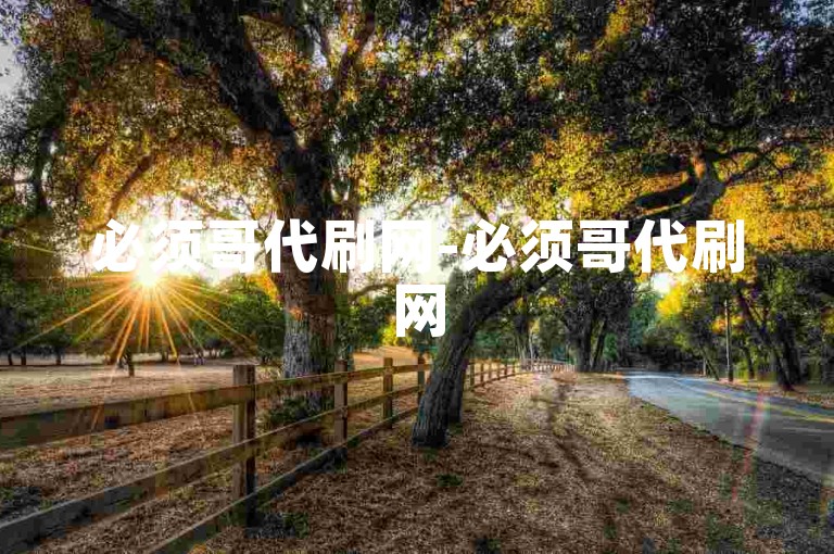 必须哥代刷网-必须哥代刷网