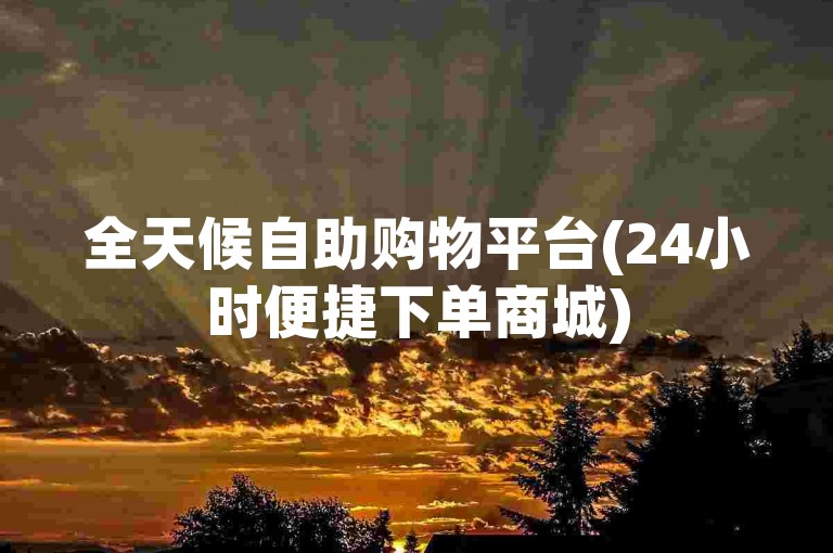 全天候自助购物平台(24小时便捷下单商城)