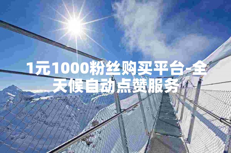 1元1000粉丝购买平台-全天候自动点赞服务