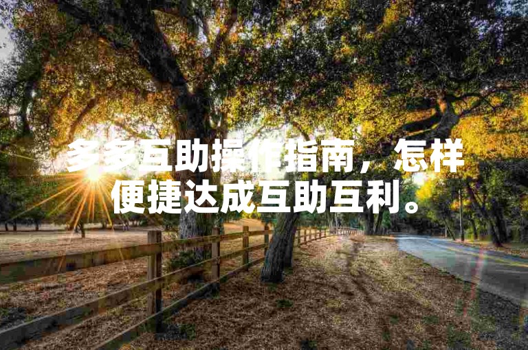 多多互助操作指南，怎样便捷达成互助互利。