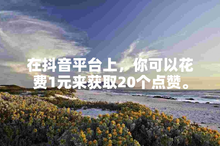 在抖音平台上，你可以花费1元来获取20个点赞。
